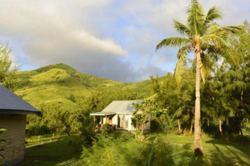 Bay Of Plenty Nature Lodge Isola di Nanuya Esterno foto